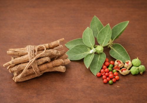 Ashwagandha plant with leaves, berries and root (Withania somnifera)