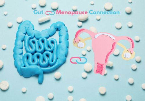 Illustration showing the connection between the gut and female hormones during menopause