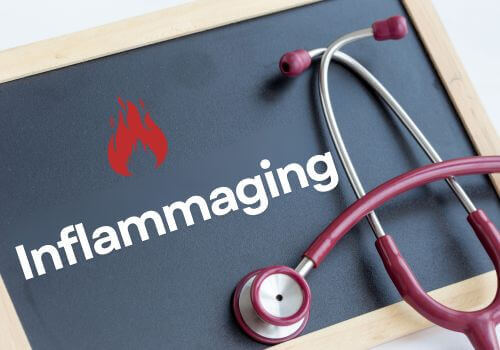 Inflammaging during menopause explained – chronic inflammation and aging concept