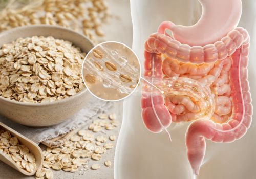 Illustration showing how beta-glucan fiber from oats may support cholesterol levels and digestive health during menopause