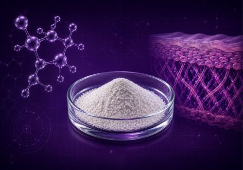 Scientific illustration of collagen peptides and facial skin structure used to represent research on collagen peptides and skin firmness.